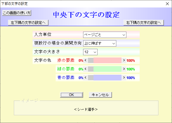 下部の文字の設定